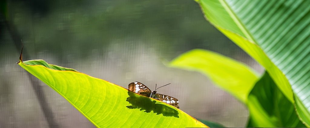 Tìm gốc bệnh